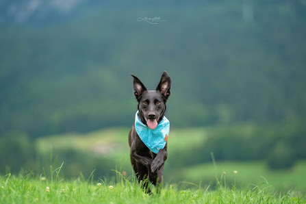 Unforgettable Fotografie