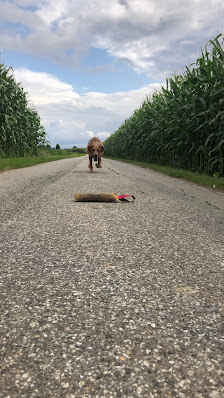 Silke Janßen - Fotografie