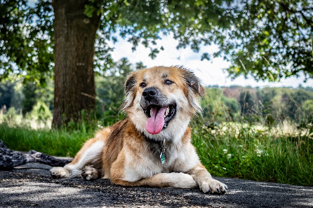Rochus' Fotografie