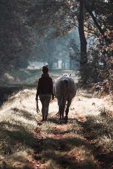 Rochus' Fotografie