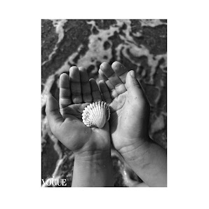 Anya Raiszadeh Photography