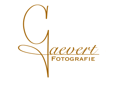 Alexander Gaevert - Fotograf aus Dormagen