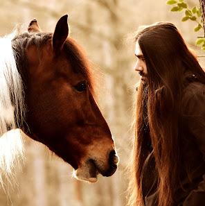 perspekTIER.de Tierfotografie