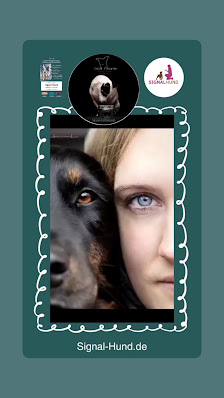DeDoll-Fotografie Hunde-/Tierfotografie