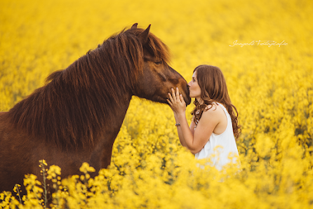 Jengelsfotografie