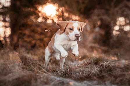 Janine Schulte Fotografie
