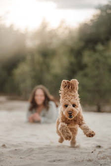 Christina Lieschke - Photography