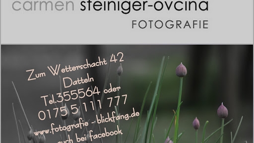 Fotografie Blickfang