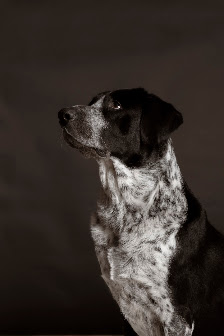Windherz Studio - Fotografie in der Alten Lederfabrik in Halle Westf.