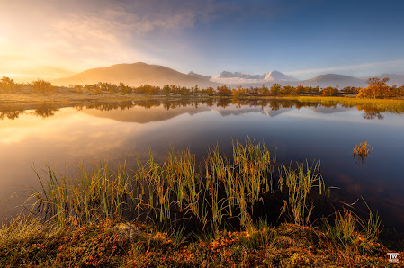 Thomas Wester Photography