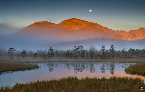 Thomas Wester Photography