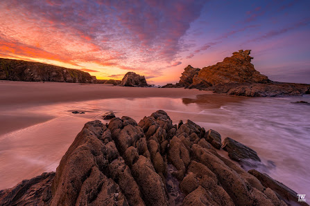 Thomas Wester Photography