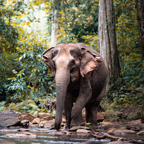 Earth And More - Julia Patt Photography