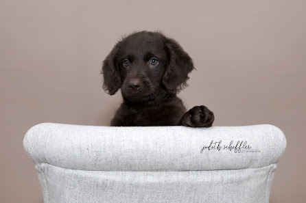Judith Scheffler Fotografie
