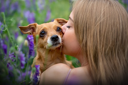realationpics Tierfotografie