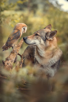 Tanja Brandt