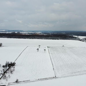 Thorsticekaviation