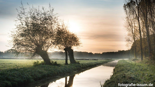Fotografie Antje Tuerk