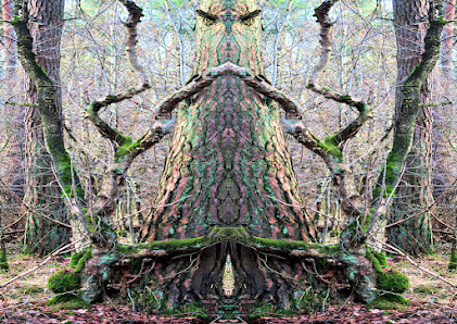 Heinrich Schröer - Fine Arts - Fotokunst