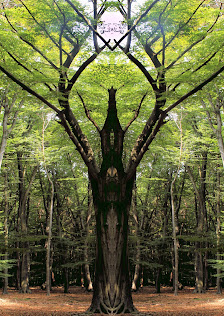 Heinrich Schröer - Fine Arts - Fotokunst