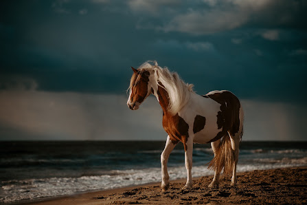 Theresa Tietz - Fotografie & Design