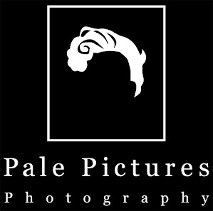 Pale Pictures Photography