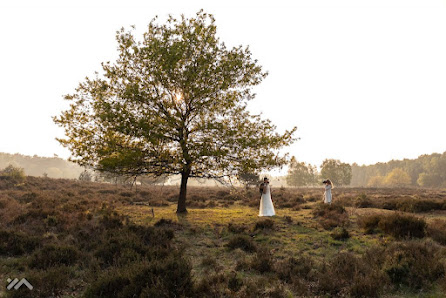 Isabel Elbing Photography