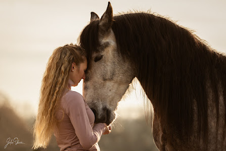 Julia Dohmen Photography