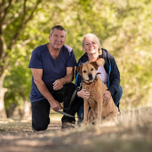 Hundefotografie Jessica