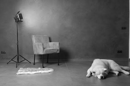 Edys fotografie
