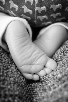 Natascha Trakies Photographie