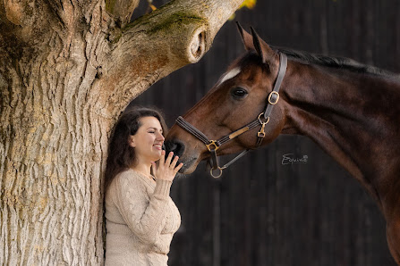 Equixie-Photographie