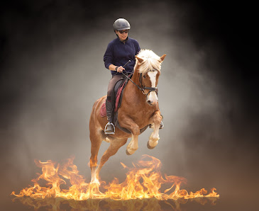 Equixie-Photographie