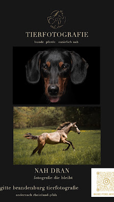 Brigitte Brandenburg Tierfotografie
