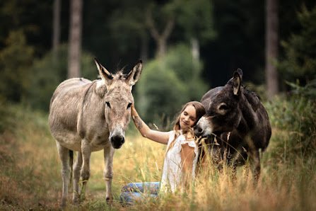 Denise Heckelmann Fotografie
