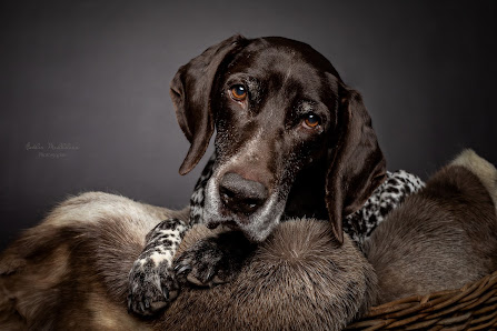 Esther Mehlhorn Photographie