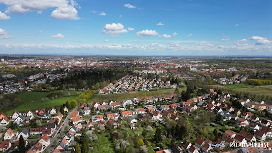 Palatinadrohne