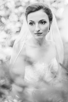 Alex Ginis Fotografie