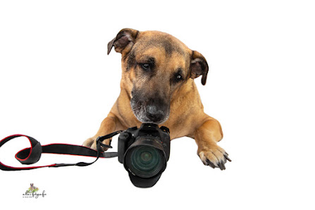 atlas-fotografie by nicole glied