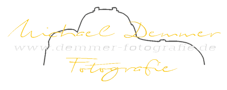 Demmer Fotografie