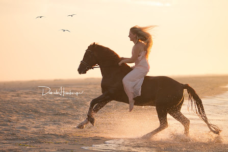 HD-photodesign Fotografie und Fotodesign