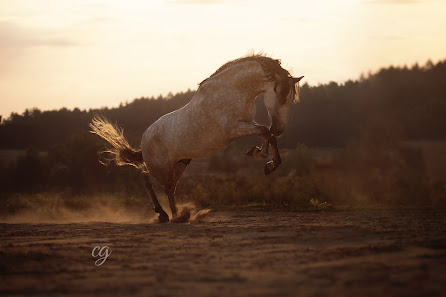 Tierfotografie von Caro's Furnose Fotografie