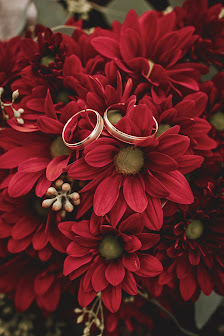 Thea Graphy