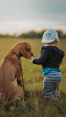 Klickmoment Fotografie Frances Schneider