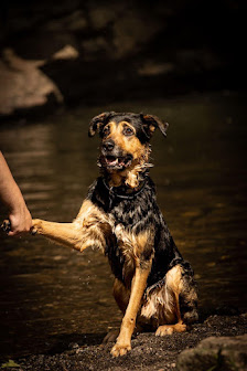 Photographie T. Schulz