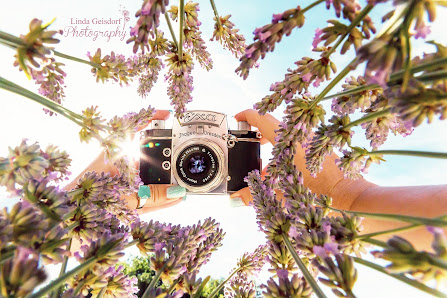 Linda Geisdorf Photography