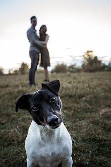 Wegart-Fotografie / Hochzeitsfotograf Berlin