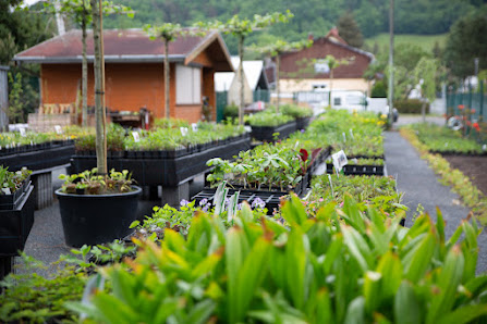 Dirk Mann | flowermedia - Gartenfotograf mit Fotogärtnerei für Gartenfotografie