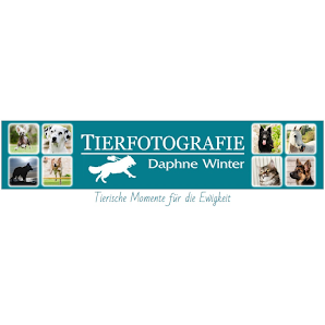 Tierfotografie Daphne Winter