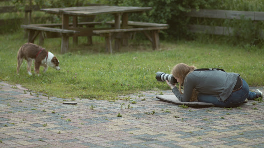Katja Budnikov Photography - Hundefotografie